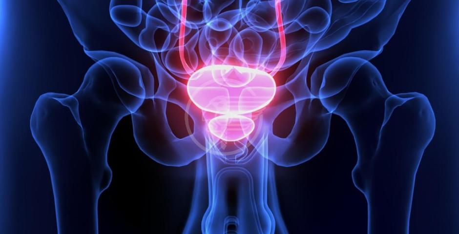 Tumore della prostata: fare attività fisica dimezza il rischio Tumore della prostata: fare attività fisica dimezza il rischio