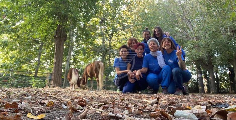 La seconda vita di Zeus, cavallo cieco ora "maestro" per Ippogrifo e Luce sul Mare La seconda vita di Zeus, cavallo cieco ora "maestro" per Ippogrifo e Luce sul Mare