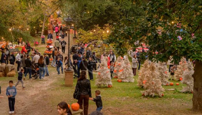 La Perla Verde celebra Halloween per i più piccoli e rende omaggio a Pasolini con Carlo Lucarelli La Perla Verde celebra Halloween per i più piccoli e rende omaggio a Pasolini con Carlo Lucarelli